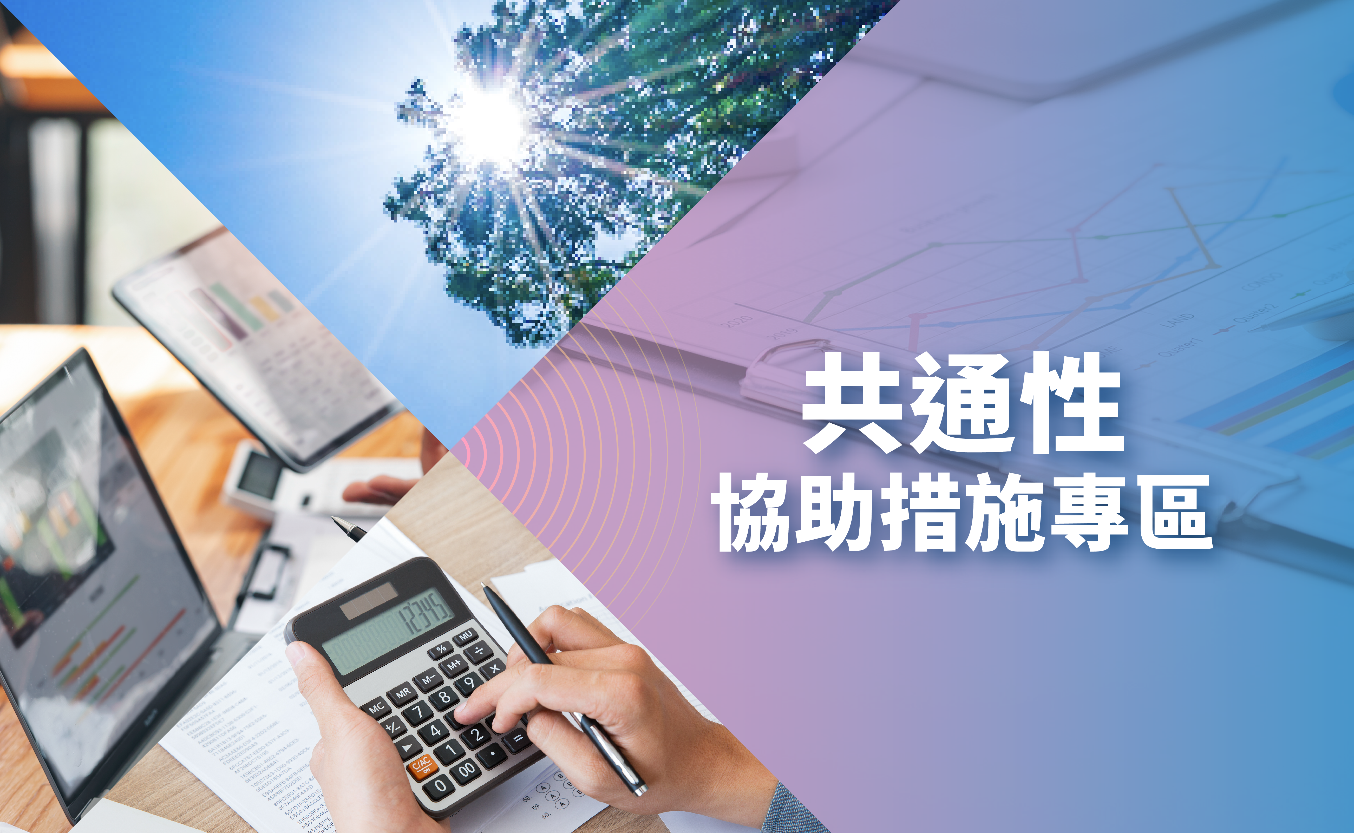 共通性協助措施_專區圖卡_icon